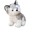 Peluche Chiot Husky - Loups-Anges